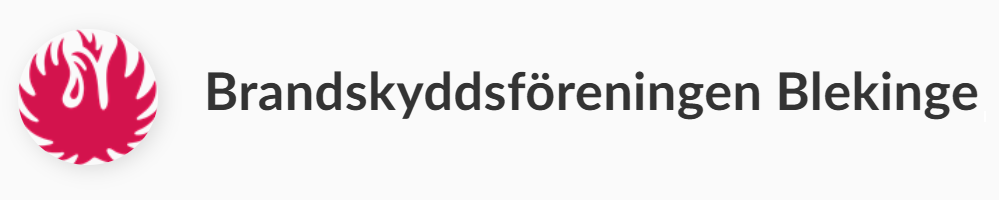 Årsmöte