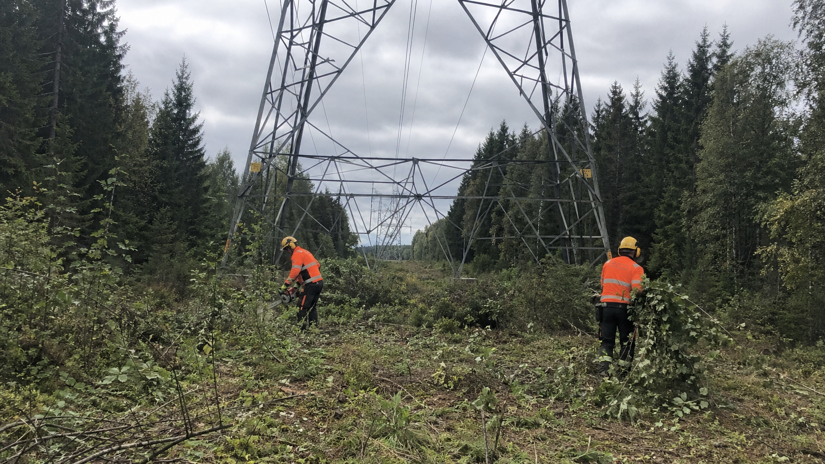 ebr esa skogligt underhall 5 jb