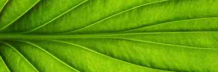 Klimatscenarioanalys i praktiken – steg för steg