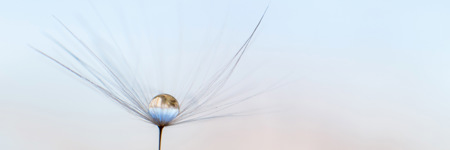 Ledarskap för läkare